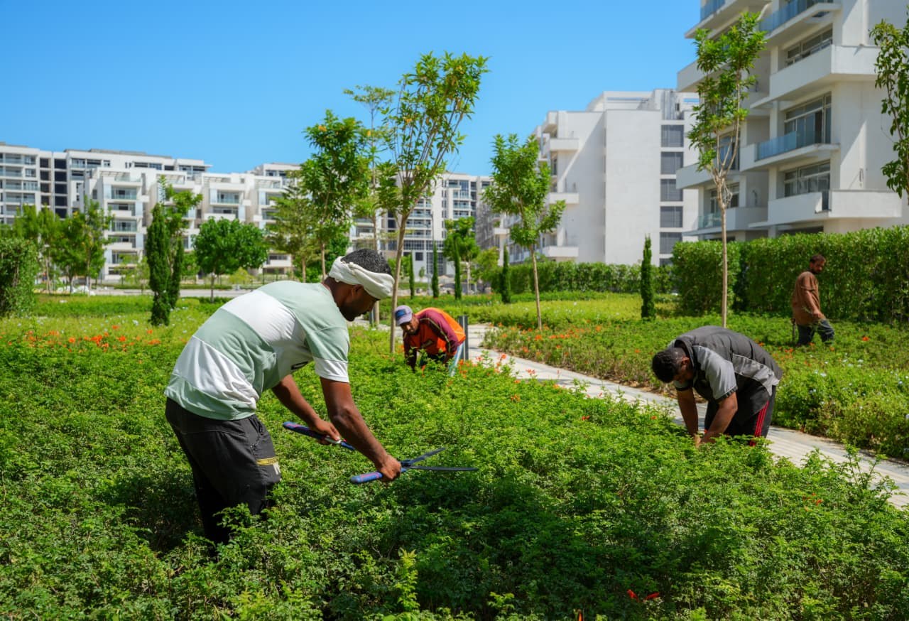 Landscape maintenance, CEC project photo 1