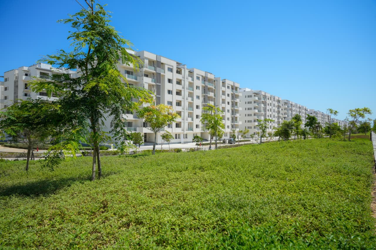 Residential landscape and grounds, CEC project photo 11